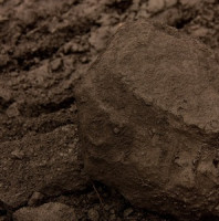  Z historie. Uhlí v Čechách